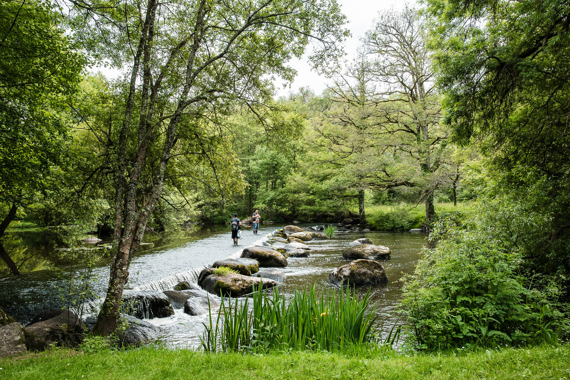 2 pêcheurs dans la Sèvre nantaise, côté bocage vendéen