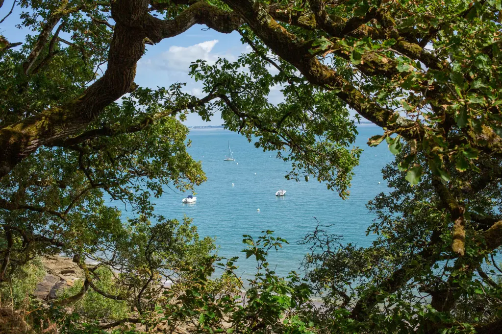 Vue sur l'Atlantique depuis le bois de la Chaise