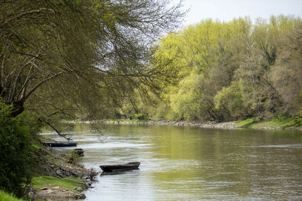 Barque sur un bras de Loire de l'ile de Béhiard