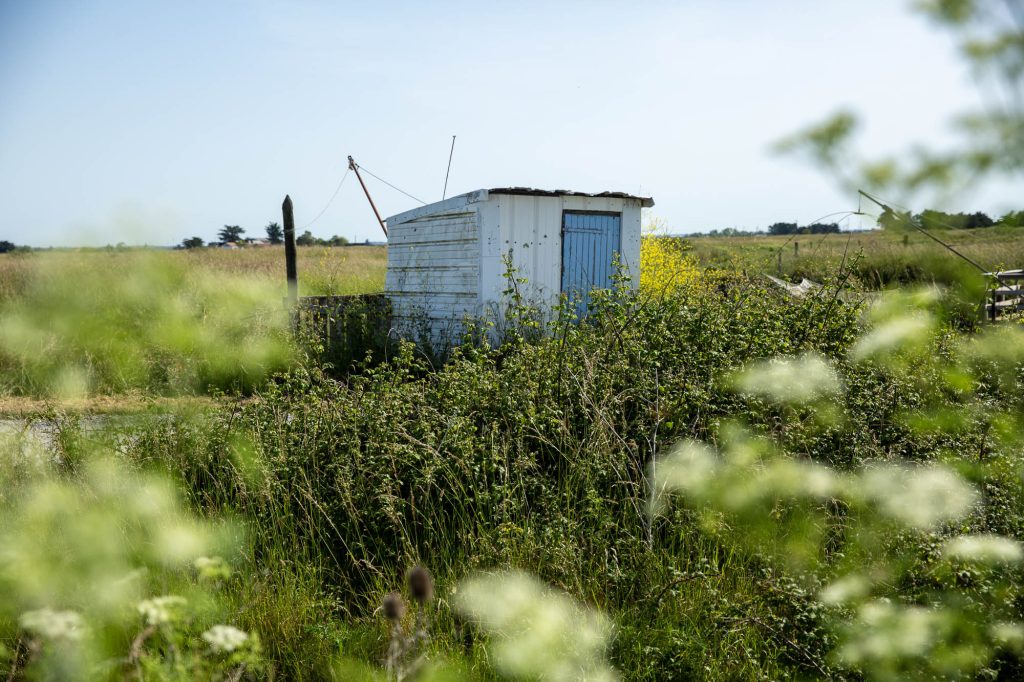 Carrelet blanc et bleu du port de la Louippe dans le marais Breton Vendéen