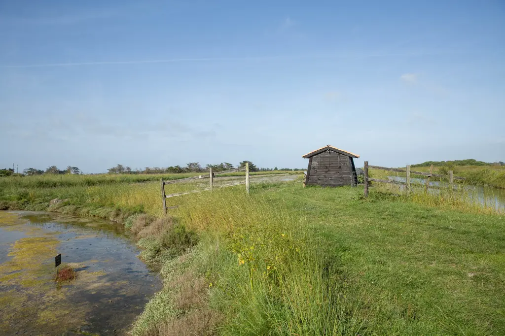 Exploitation de sel des marais salants de Noirmoutier