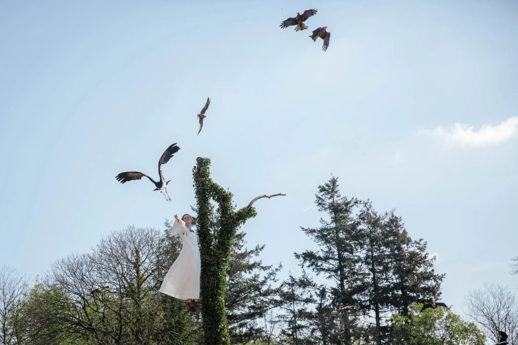 Spectacle du bal des oiseaux au Puy du fou