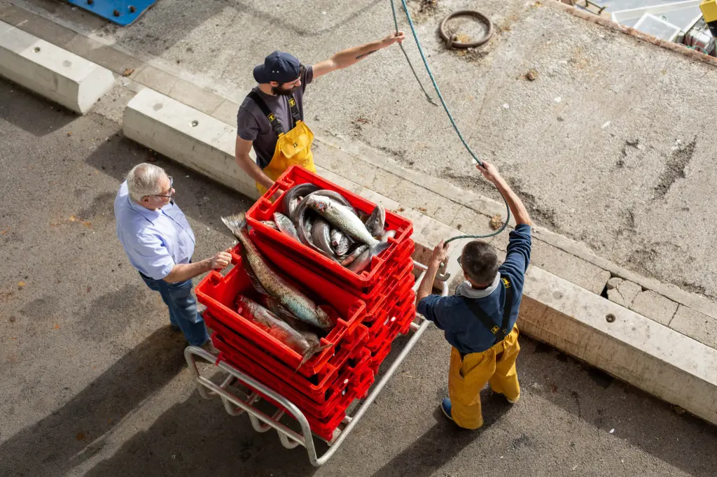 Pêcheur déchargeant leur bateau de la pêche du jour à l'Herbaudière