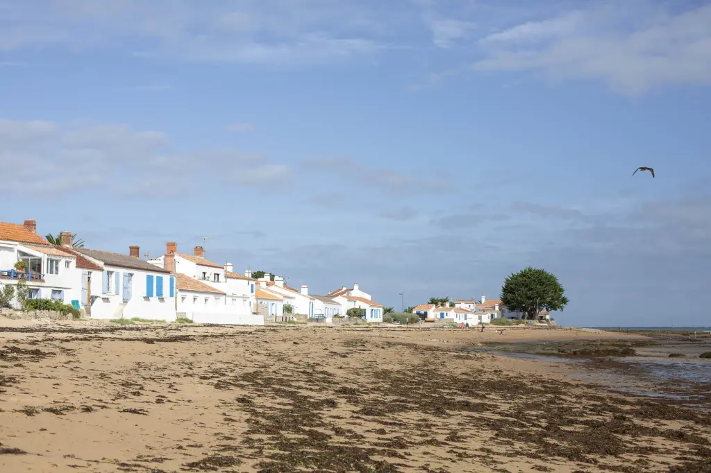 La plage du Petit Vieil
