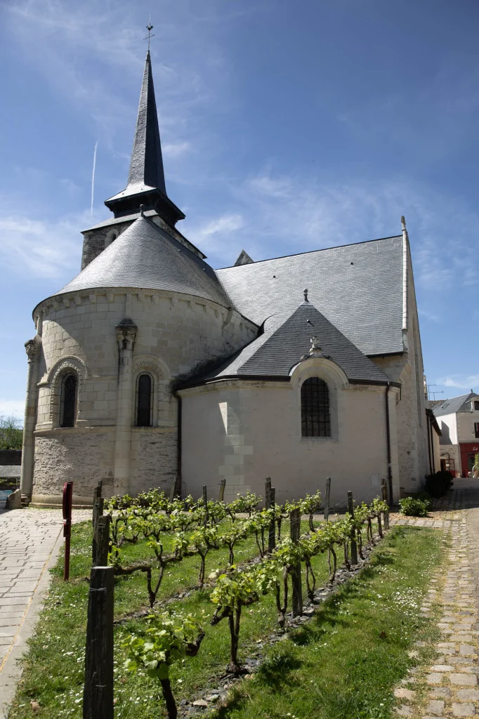 Eglise de Savennières avec quelques plans de vigne